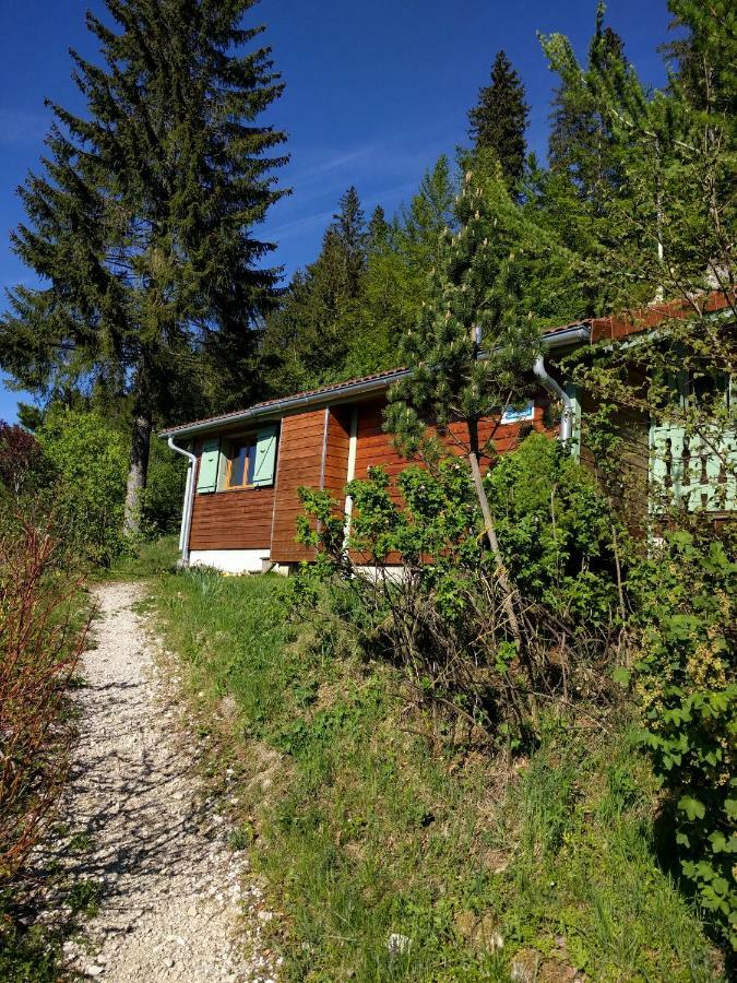 Chalet Daria Premanon Exterior photo