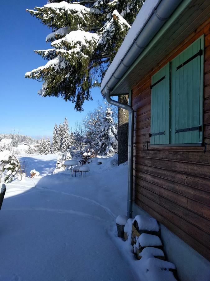 Chalet Daria Premanon Exterior photo