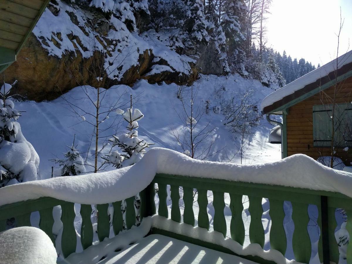 Chalet Daria Premanon Exterior photo